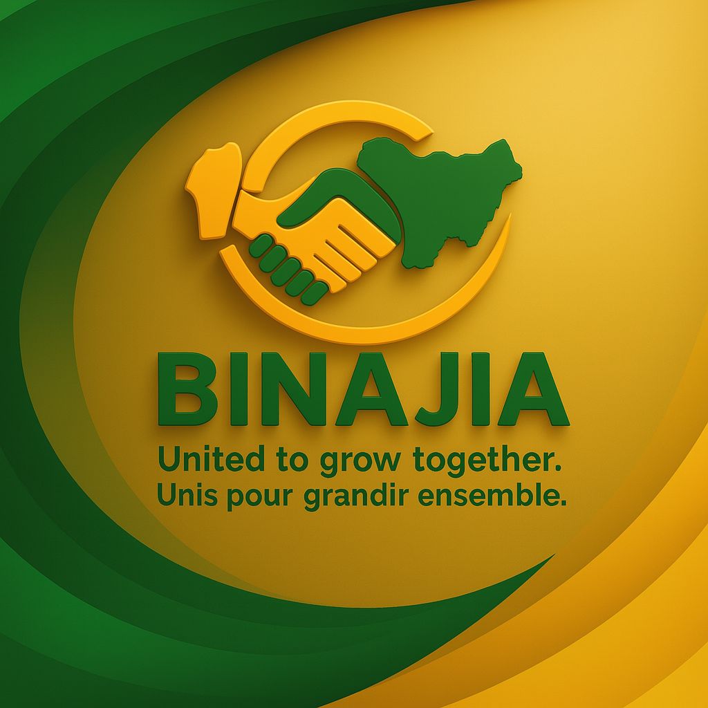 Logo Design Binajia